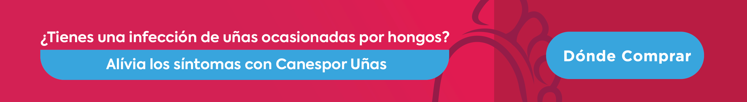 Donde comprar