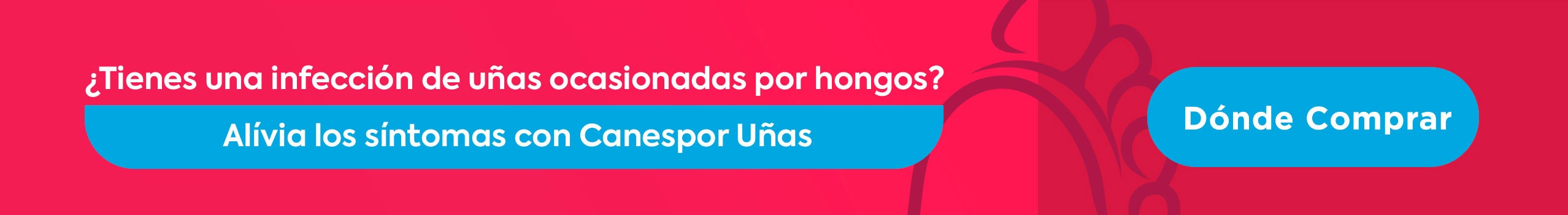 Donde comprar